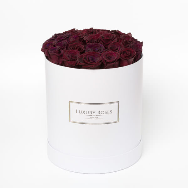 Luxury rose. Infinity Roses. Mercan Rose de Luxe набор. Роуз бокс. Infinity Roses Italy.